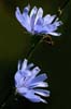PICT5624 m